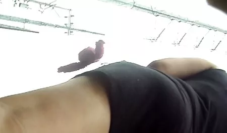 Blue angel mendapat bokep janda sexy 2 porno big dick 3-way!
