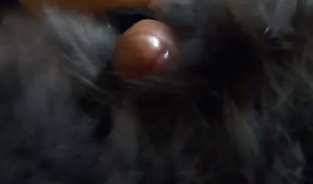 enggan bokep janda haus seks adik mendapat keperawanannya !